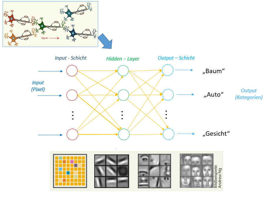 Neuronale Netze für "Deep-Learning" bestehen aus vielen Neuronen-Schichten, die aus dem Input sukzessiv immer komplexere Merkmale abstrahieren.